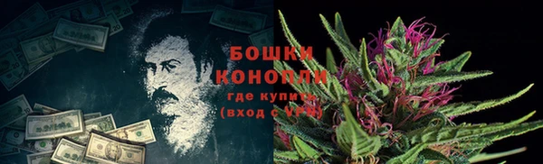 винт Армянск